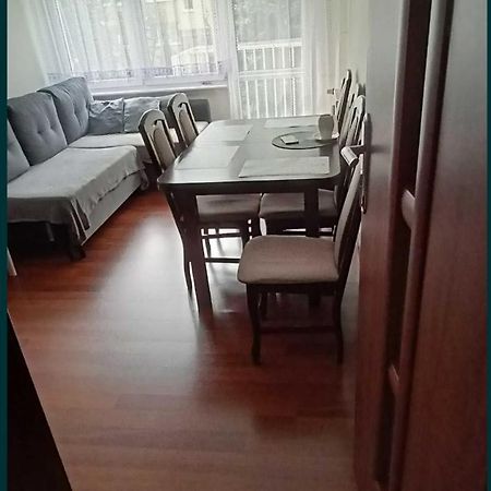 科宁Centrum Apartament Wyszynskiego 42M2公寓 外观 照片